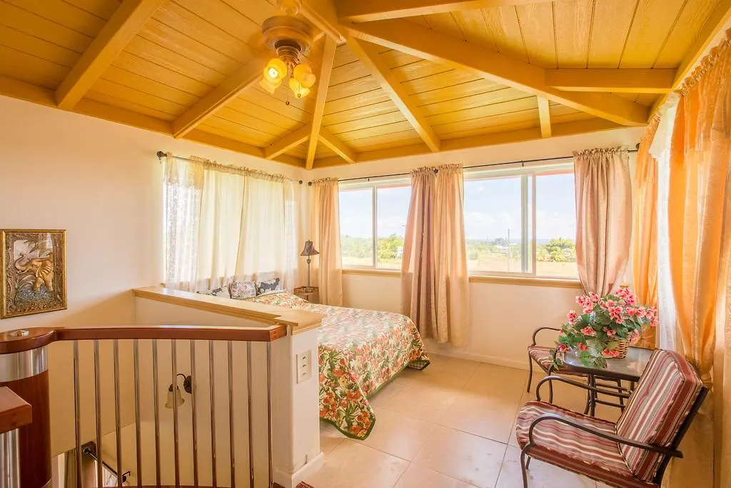 Coconut Palms Vacation Rental Near Lava Fields And Beaches Kehena