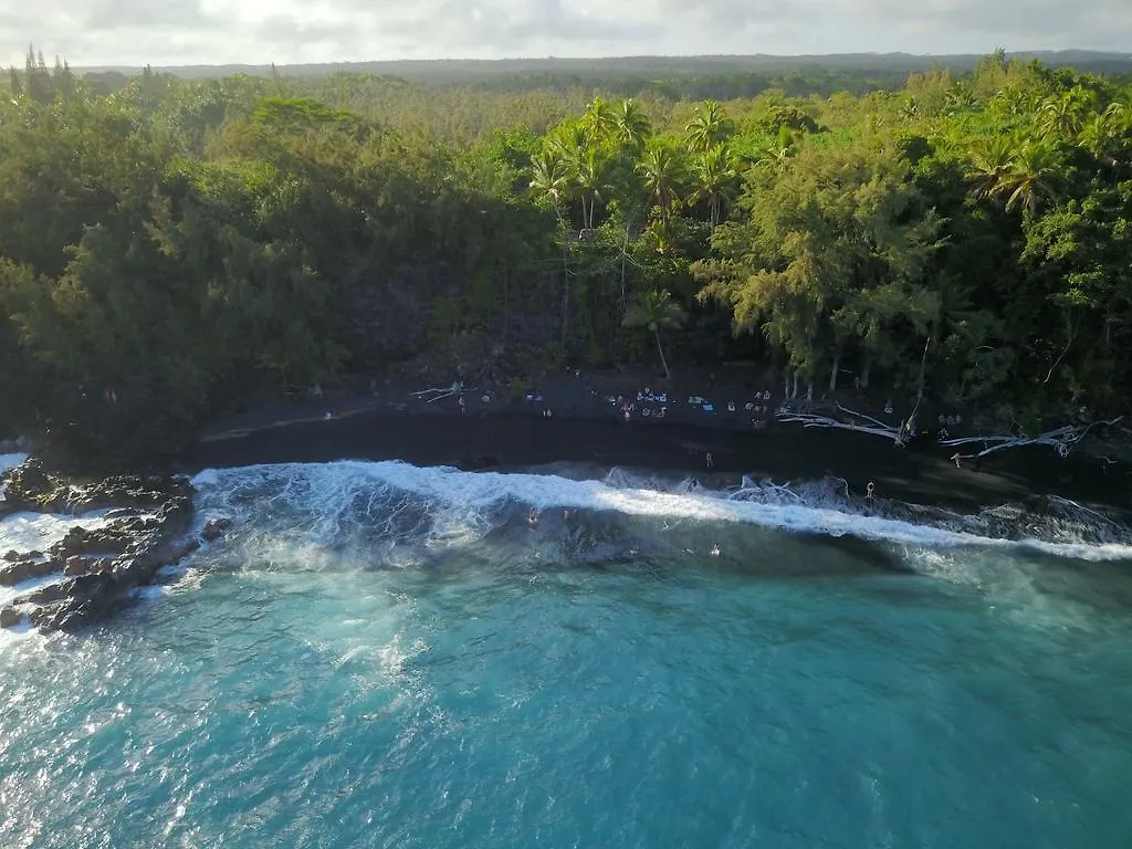 Coconut Palms Vacation Rental Near Lava Fields And Beaches Kehena الولايات المتحدة الأمريكية